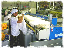 Operatori al lavoro